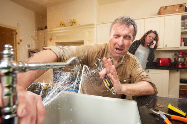Best Professional water damage repair  in Mcdonald, OH